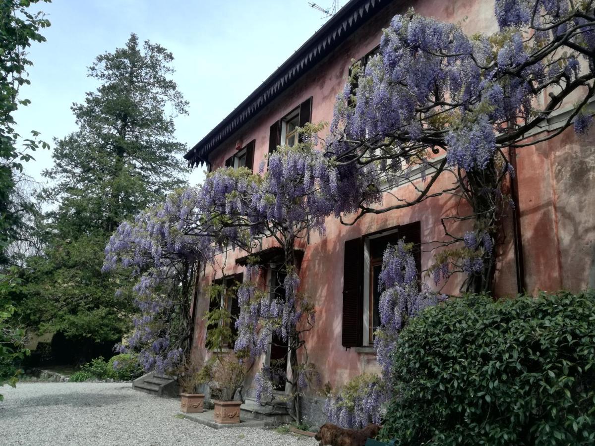 CastelveccanaCasa Della Gioia别墅 外观 照片
